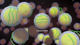 Lipoprotein Molecules