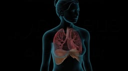 Oxygen Transport and Gas Exchange