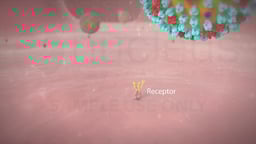 Influenza Virus Particle Approaching a Host Cell Receptor