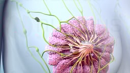 Understanding Breast Cancer