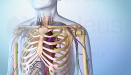 Managing Blood Cancers