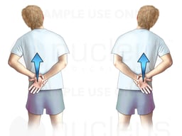 Rotator Cuff Exercise: Up-the-back Stretch
