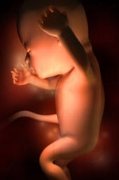Week 16 in Fetal Development - Breathing