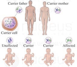 Genetic Outcomes