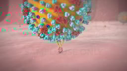 Influenza Virus Particle Binding to a Host Cell Receptor