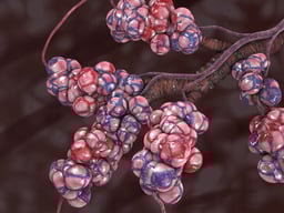 Intrapulmonary Circulation