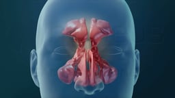 Endoscopic Sinus Surgery