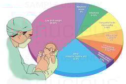 Identified Causes of Cerebral Palsy in the Newborn