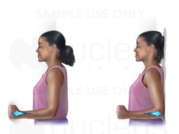 Rotator Cuff Exercise: Flex and Extension