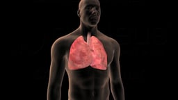 Lung Cancer Prevention