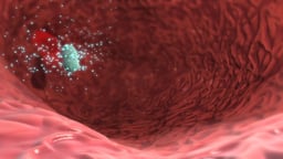 Medication Absorption