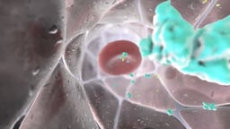 Medication Distribution