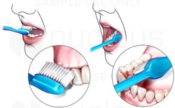 Brushing Your Teeth