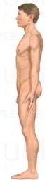 Male Figure: Left Lateral View
