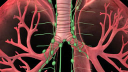 Lung Cancer Treatment
