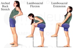 Standing Back Stretches