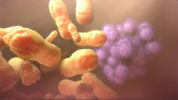 Why is Vaccination Better Than Natural Immunity from a Disease?