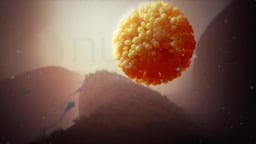 How Do Sperm Cells Enter the Egg?