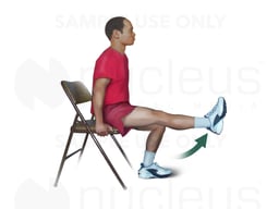 Quadriceps Stretching Exercise