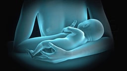 What is Stage 3 of Labor?