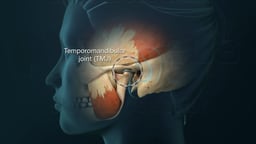 Temporomandibular Joint (TMJ) Anatomy