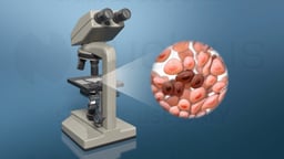 Microscopic Examination of Cellular Specimen