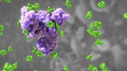 Pharmacodynamics - Pharmacokinectics