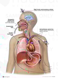 Multiple Medical and Surgical Treatments