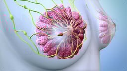 What are Some of the Treatment Options for Breast Cancer?