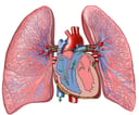 Emboli - Pathway through the Heart