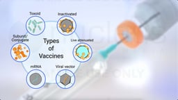 What are the Main Types of Vaccines?