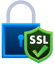 Secure SSL connection
