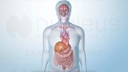 Semaglutide for Weight Loss