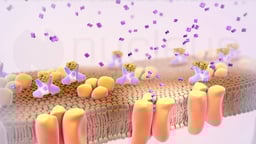 Understanding Type 1 Diabetes