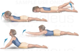 Ankylosing Spondylitis: Prone Hip Extensor Exercise