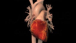 Heart Failure Treatment: Medication