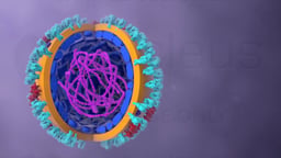 Cross-Section of Influenza Virus Particle with RNA Depicted
