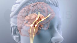 Understanding Opioids and How They Affect the Brain