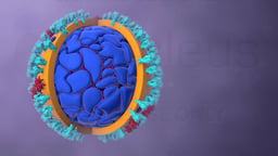 Cross-Section of Influenza Virus Particle with Protein Shell