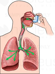 Mechanism of Inhalation Using an Inhaler
