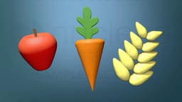 Treatment for Obesity: Lifestyle Changes