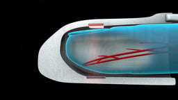 Cross Section of Finger in Pulse Oximeter