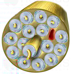 Anatomy of a Nerve Bundle