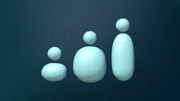 Understanding Obesity