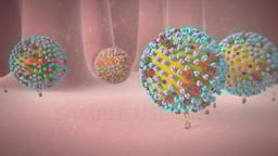 Influenza Virus Particles Binding to Host Cell Receptors
