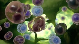 Treatment Options for Lymphoma