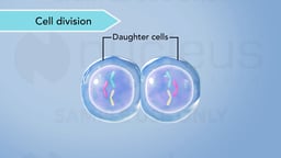 Biology: The Cell: 08: Cell Division - Overview of Cell Division
