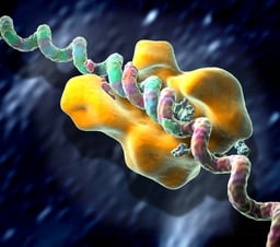 HIV Reverse Transcription - DNA Synthesized from RNA