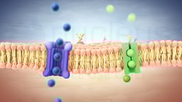 Biology: The Cell: 03: Structure - Structure of the Cell Membrane