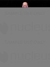 Male Circulatory System